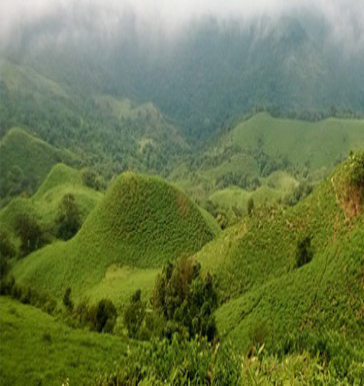Beere Betta Homestay Building - Somavarpett
