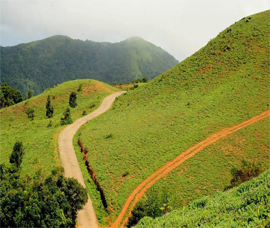 Mandal Patti