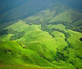 Pushpagiri Wildlife Sanctuary